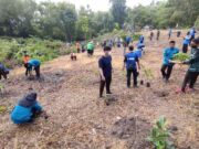 Kwarcab Ngawi Berpartisipasi dalam Giat Penanaman Pohon dalam Rangka HUT Tagana ke-17
